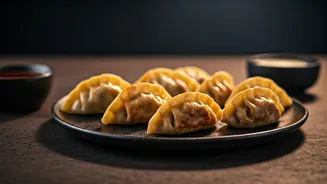 Viral Blanket Dumplings: A Crispy, Juicy Revolution in Your Kitchen!