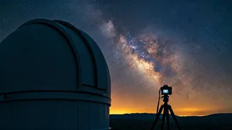 Daily Zodiac Forecast: April 20, 2026 - What the Stars Foretell for All Signs!