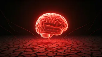 Heatwave Alert: How Extreme Heat Increases Your Stroke Risk & How to Stay Safe