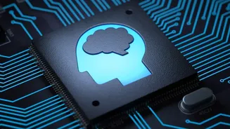 Future AI Hiring And Experienced Staff: Key Points About Future Skills Shortages
