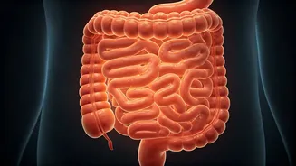 5 Sneaky Daily Habits Wrecking Your Gut Health: Are You Guilty?