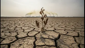 State of India's Environment 2026: The Real Impact beyond the Headline