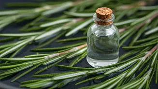 Rosemary Water or Oil: Which Is Better?