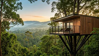 The Most Beautiful Coorg Treehouse Phenomenon Shared Online