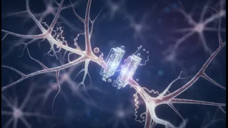 How scientists manipulate microscopic gatekeepers inside brain cells to restore cellular health