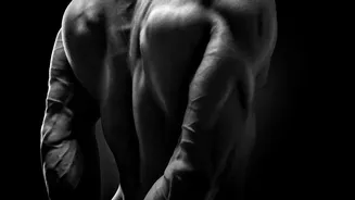 The Nutrition Basics Behind Muscle Growth: A Closer Look