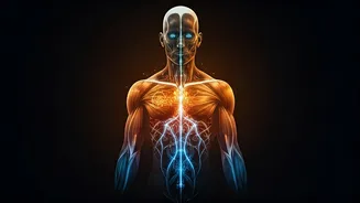 Body-Clock Fitness Is The Smarter Scheduling Hack