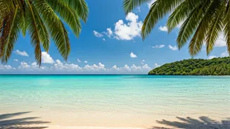 Vietnam Visa Deregulation Spasms Intense Spontaneous Tropical Beach Breaks