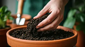Revitalize Your Garden: Expert Tips for Reusing Potting Soil Successfully