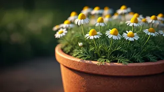 Related Stories banner