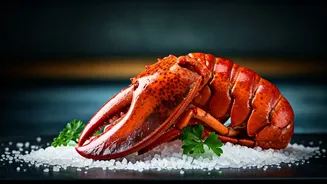 Discovering India's Culinary Gem: The True Seafood Capital Revealed!