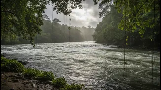 The Malabar River Experience Starts With Skills, Standards And Respect For Conditions