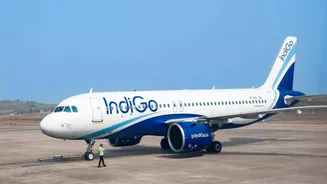 IndiGo among Asia-Pacific's most punctual airlines for 2025