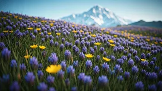 Why Uttarakhand Mountain Monsoons Create Magical Floral Carpets Fast