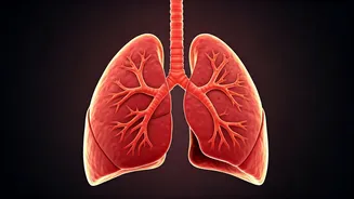 Strengthen Your Lungs in 10 Minutes with Yoga