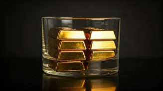 10 High-Growth Equity Funds: Investment Insights