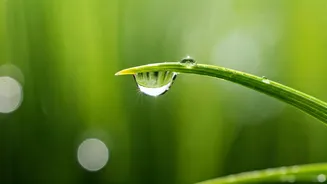 Isha Ambani's 'Do Nothing' Skincare: Unveiling the Secret to Her Radiant Complexion