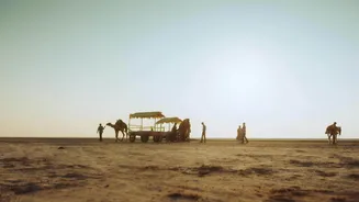 Hidden coastal gems of Gujarat you need to visit