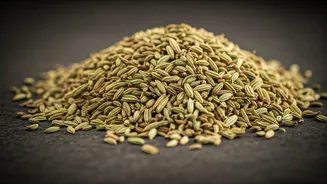 Gujarat Food Crackdown: Over 3,500kg of Saunf Tainted with Unsafe Green Dye Seized!