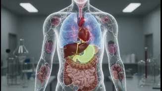 Your Body May Not Age As One