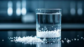 The Body and Salt Water: What's the Deal?