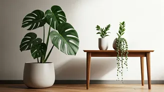 8 Indoor Plants to Instantly Elevate Your Home Decor