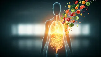 Intermittent Fasting: 12 vs 16 Hours - Why Calories Matter More Than Time