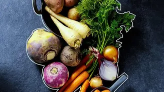 How Fermented Black Carrot Tonics Boost Gut Health Naturally For Urban Drinkers