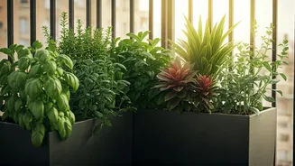 Balcony Gardening Is Easier Than Ever