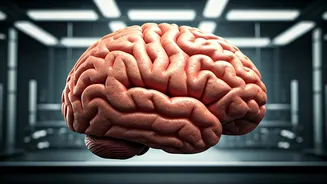 Man Lives Well Despite 90% Brain Loss