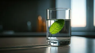 Morning Hydration Myths Busted: The Real Truth About Your First Drink