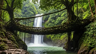 Meghalaya At Its Dramatic Monsoon Best: Cherrapunji Bridges Roar