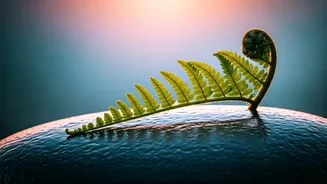 Embrace the Dawn: 5 Powerful Morning Affirmations for a Calmer, Clearer You at 5 AM