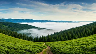 Related Stories banner