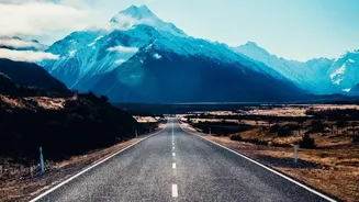 Wildlife And Road Trips Could Become The Next Seasonal Travel Focus For Indians