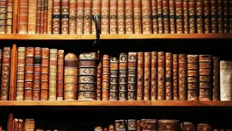 A Practical AI Look at Reference Audits Before Errors Spread Through AI Checks on Scientific Literature
