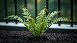 Urban India Goes Native This Monsoon