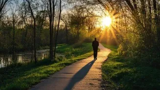 Do evening walks help with weight loss?