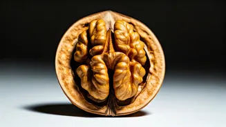 Walnuts Are Powerful, Harvard Doctor Says