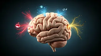 Decode Your Cravings: What Your Food Desires Are Really Saying About Your Health