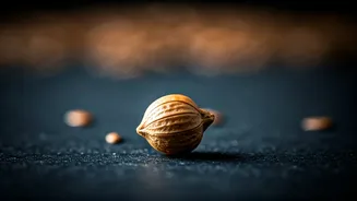 This Tiny Seed Packs A Massive Omega-3 Punch