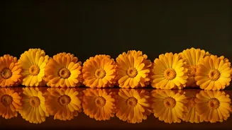 Find Hope: 10 Joyful Indian Baby Names