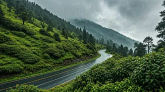 Travel Smart While Exploring Monsoon Sikkim