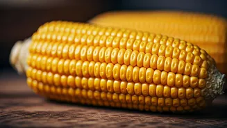 Roasted Corn Is Winning Hearts Again
