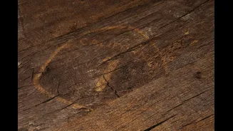 Protecting Furniture from Termites During Monsoon