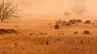 Local Weather Patterns Explains What Bengaluru's Unusually Dry July Means for City Residents