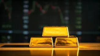 India's Economy: Investments & Growth Signals