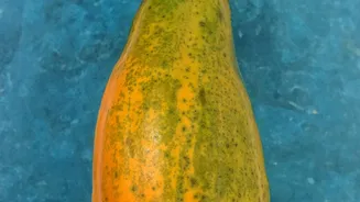 Choose Papaya With Intact Skin and No Leaking Soft Spots