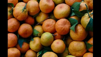 Foods to Eat in Winter for Better Health in India