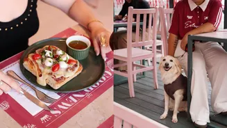 Cafeteria pet friendly: roteiro com 5 opções charmosas na capital paulista